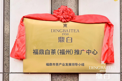 福鼎白茶（福州）推广中心成立 助力福鼎白茶走向世界