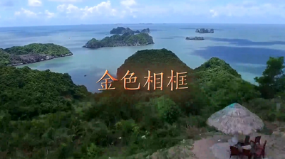 金色相框｜习近平对越南进行国事访问