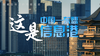 跟着总书记的考察足迹｜这是中国—东盟信息港