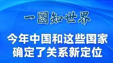 一图知世界 | 今年中国和这些国家确定了关系新定位