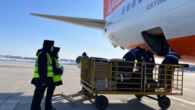 今年前11个月黑龙江省进出口总值同比增长13.3%