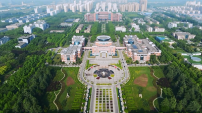 全球连线｜“一粒种”折射国际农业合作光芒