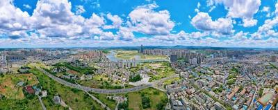 在这个城市，青年拔节成长