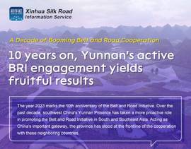 (Infographic) 10 years on, Yunnan's active BRI engagement yields fruitful results