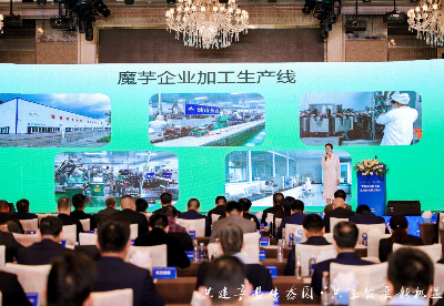 陕西安康市：开放发展暨投资机遇发布会在深圳举行
