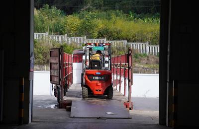 云南宁洱：中老铁路货运忙