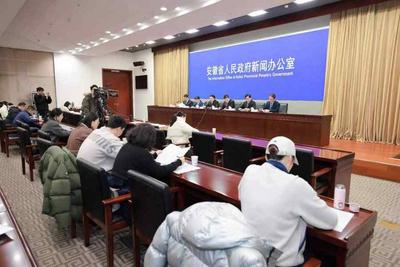 安徽自贸试验区累计形成192项制度创新成果