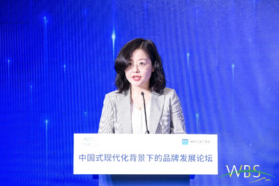 高亚兰：我国品牌发展需要创新国际化战略