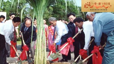 小而美的“中国草”在各国开出“幸福花”