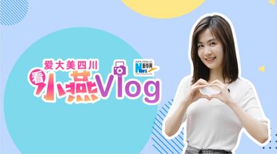 小燕Vlog｜从“红庙子”到“梦工场”——交子文化的现代传承