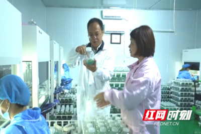 “走找想促”星成效 | 真情实意服务企业，助力蝴蝶兰“幸福花开”
