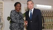 China, Togo agree to well implement outcomes of China-Africa cooperation
