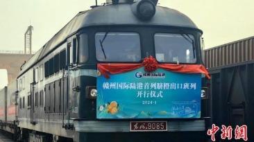 江西赣州国际陆港首列脐橙出口班列开行