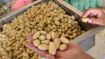 China's Gansu sees agriproduct exports up 18.9 pct in 2023