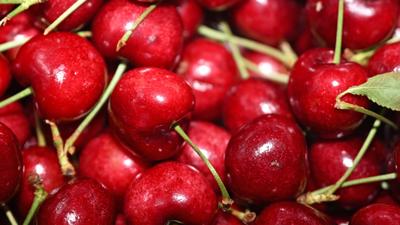 “一带一路”故事绘丨漂洋过海的智利“车厘子快线”