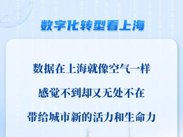 激活新要素，发展更“有数”——上海驶入数字化转型“高速路”
