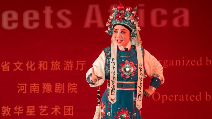 Chinese arts troupe enchants Cape Town with Spring Festival gala performance