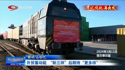 “解码”6万亿③外贸蓄动能 “新三样”后期待“更多样”