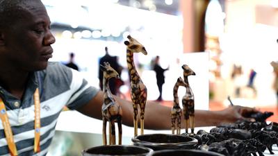 津巴布韦携手中企参与全球绿色转型