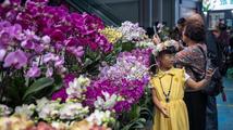 China's Yunnan sees blooming flower export in 2023