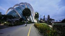 Singapore, China eye enhancing business ties