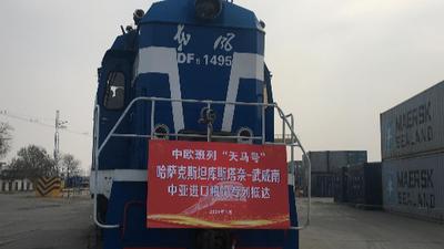 1560吨哈萨克斯坦麦麸颗粒“搭乘”中欧班列抵达甘肃