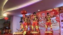 Culture fest helps Cambodians gain insights into China