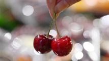 BRI Stories | Direct route facilitates Chilean cherry imports for Chinese consumers