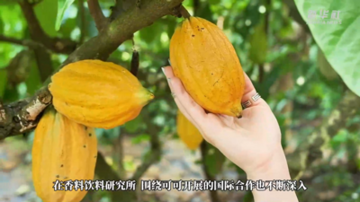 “洋记者”看美丽中国：“一带一路”热带农业合作的海南“样本”
