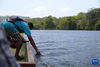南方振兴｜巴拿马“黄金水道”迎来生态旅游新机遇
