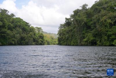 南方振兴｜巴拿马“黄金水道”迎来生态旅游新机遇