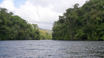 南方振兴｜巴拿马“黄金水道”迎来生态旅游新机遇