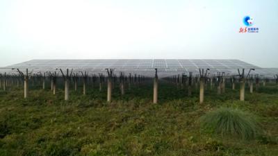 全球连线｜“我们为这里有光伏电站感到自豪”——中企建设光伏电站惠及达卡民众