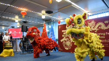 Learning Chinese best way to build cultural bridge, says Spanish student