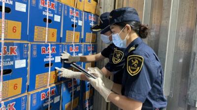 从口岸看云南外贸新活力