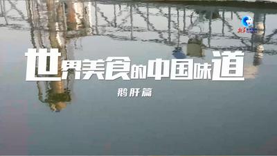 全球连线｜“世界美食的中国味道”之一：大别山间的朗德鹅肝