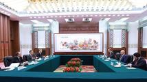 Chinese FM meets co-chairs of negotiations on UNSC reform