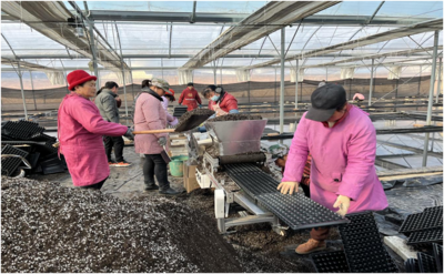陕西洛南县：人勤春来早  育苗春耕忙
