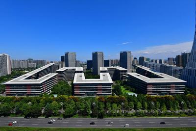 打造数字营商环境示范，成都高新区发布60条举措