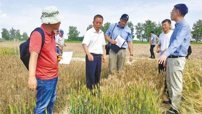 杨凌农科之花盛放“一带一路”