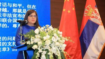 塞尔维亚驻华大使：透过中国两会发现更多机遇
