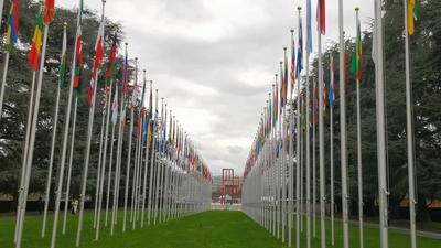 中国与联合国机构共同举办残疾人权利主题活动