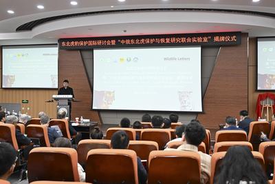 中俄成立联合实验室保护东北虎