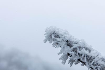 贵州道真:春日雪景美如画（中）