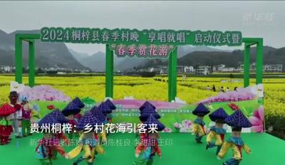 贵州桐梓：乡村花海引客来