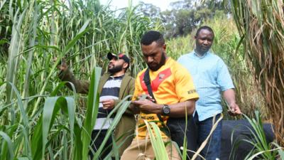 让菌草成为造福人民的“幸福草”