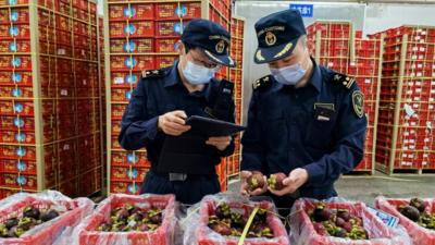 西部陆海新通道助力更多东盟水果进入中国市场