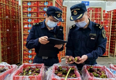 西部陆海新通道助力更多东盟水果进入中国市场
