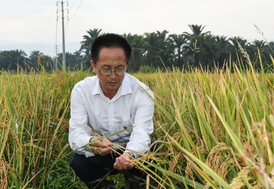 我在现场·照片背后的故事｜感动中国，感动非洲——我眼中的水稻专家杨华德