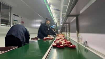 一只保温杯的跨境电商之旅